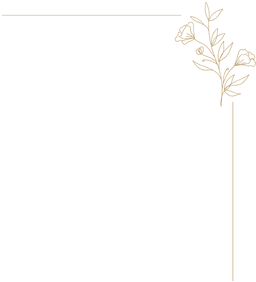 VideoCork, Wedding Videographer logo