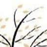 Condons Funeral Directors Ltd