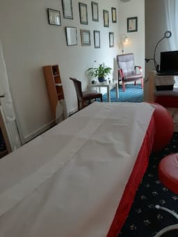 Natural Therapy Centre Swinford logo