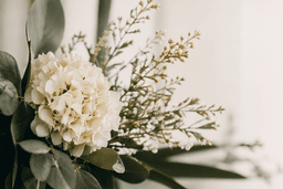 Ballybofey Florist logo