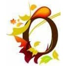 Carrigaline Organic Hair Studio logo