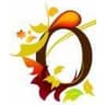 Carrigaline Organic Hair Studio