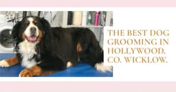 Tatty Tails Dog Grooming logo