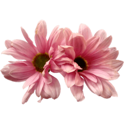 TheDutchflowergirl logo