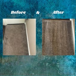 Fibre Klean Carpet Cleaning Limited logo