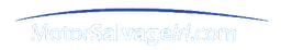 Motor Salvage Irl logo