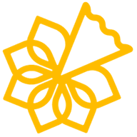 Irish Cancer Society Swords charity shop logo