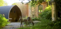 The Deerstone Eco Hideaway logo