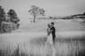 Barbara McGroary Photography