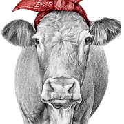 Farmer Browns Clonskeagh logo