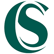 Stakelum Consultancy logo