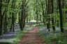 Craniosacral Therapy with Julie Yoga with Julie