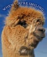 Wexford Alpacas