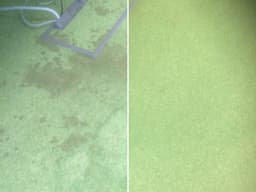 Classic Carpet Cleaning logo