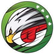 CELTIC EAGLE'S GALWAY logo