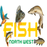 Fish North West