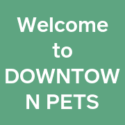 Downtown Pets logo