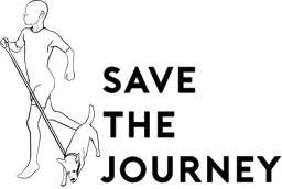 Save The Journey Photography logo