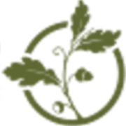 BORÚ Health & Beauty logo