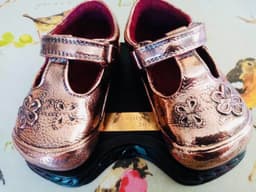 Bronze Craft, Baby Shoe Bronzing & Unique Gifts, UK & Ireland, Established 1978 logo