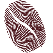 Cafe Sonder logo