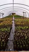 Buds Nursery