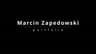 ZAP Art — Mural Painter Dublin