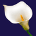 Murphy Brothers Funeral Directors