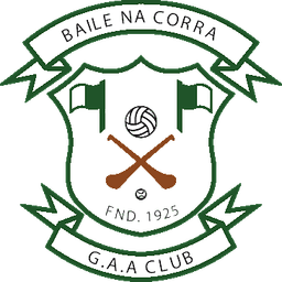 Ballinacurra GAA Club logo