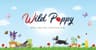 Wild Poppy