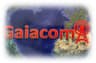 Gaiacom - Information Technology
