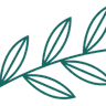 S R Willson & Co Accountants