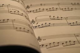 Wicklow School of Music & Drama logo