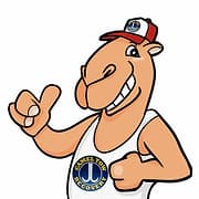 Camel Tow Recovery logo