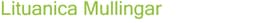 Lituanica Mullingar logo