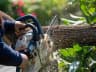 Oakley Homes Tree and Hedge Care