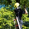 Ashwood Tree Services