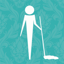 Precision Clean Ltd, Cork logo
