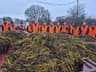 C&B Agri Enterprise Limited