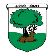 Fethard GAA Club logo
