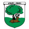 Fethard GAA Club