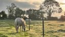 Legan Castle Farmhouse | Luxury Farm Stays