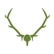Fallons Bar & Cafe logo