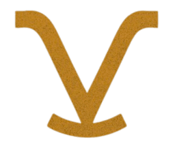 Vista View Construction logo