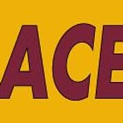Ace Motor Factors logo