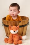 Fox Photo