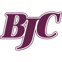 Bryan J Corcoran Auctioneers & Valuers logo