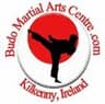 Budo Martial Arts Centre