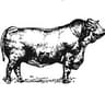 Porterhouse Prime Meats