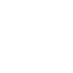Top Transfer logo